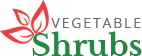 Yisoucms Enterprise website system
